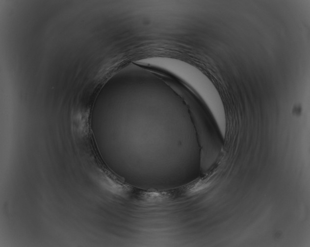 X0000089910239200707131355