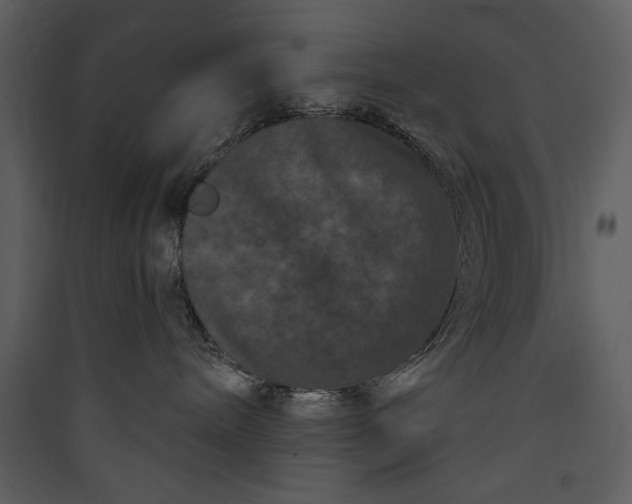 X0000089910240200707131355