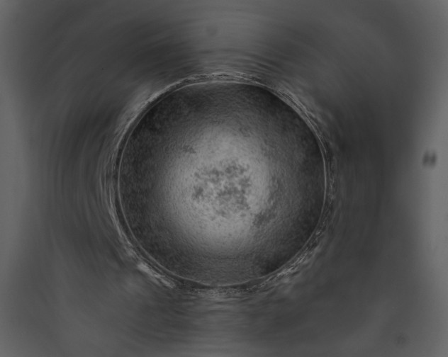 X0000089910241200707131355
