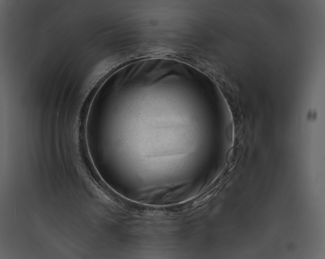 X0000089910242200707131355