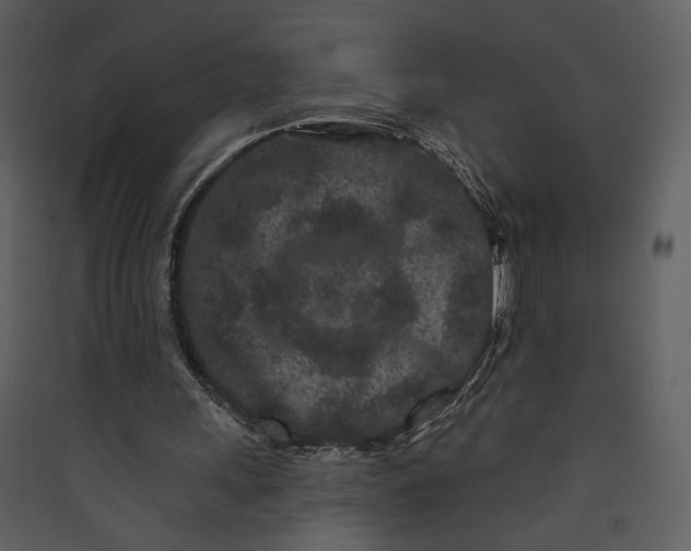 X0000089910243200707131355