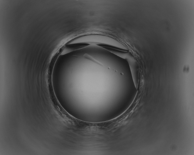 X0000089910244200707131355