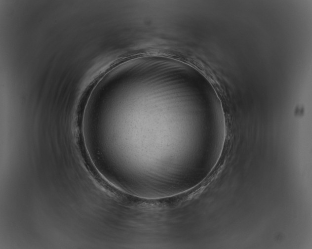 X0000089910245200707131355