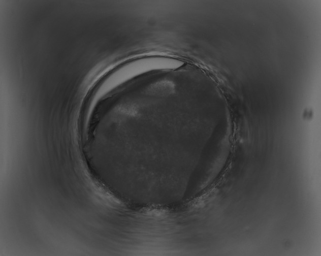 X0000089910247200707131355