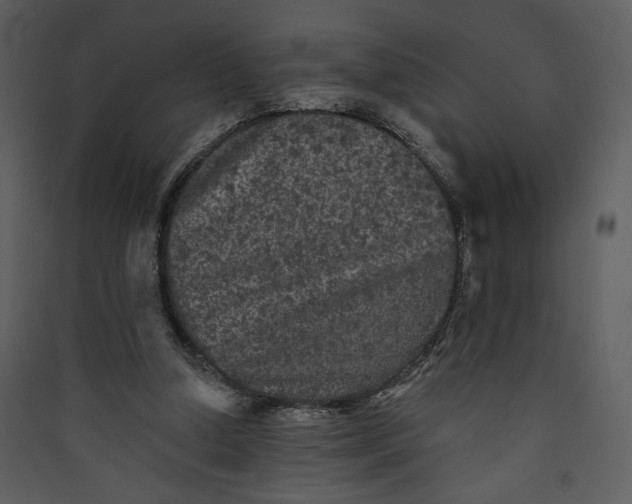 X0000089910250200707131355