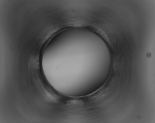 X0000089910251200707131355