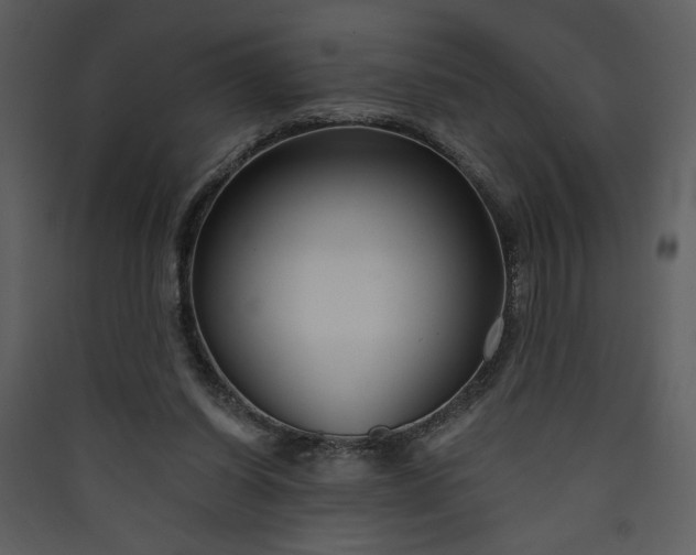 X0000089910254200707131355