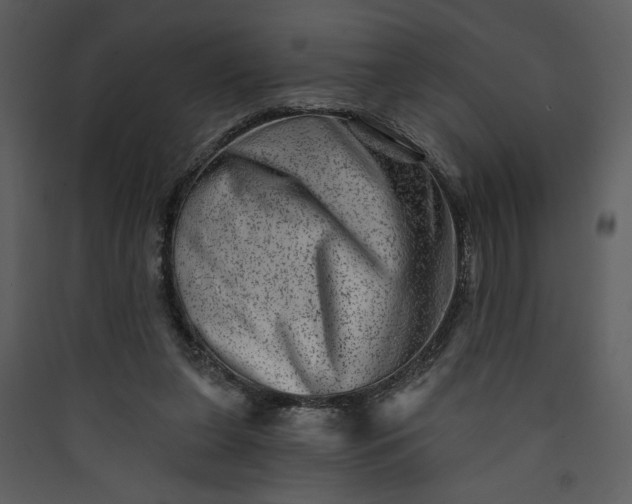 X0000089910255200707131355