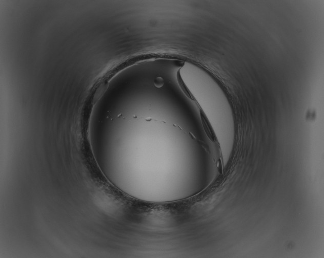 X0000089910256200707131355