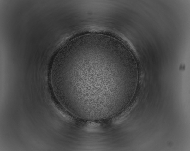 X0000089910257200707131355