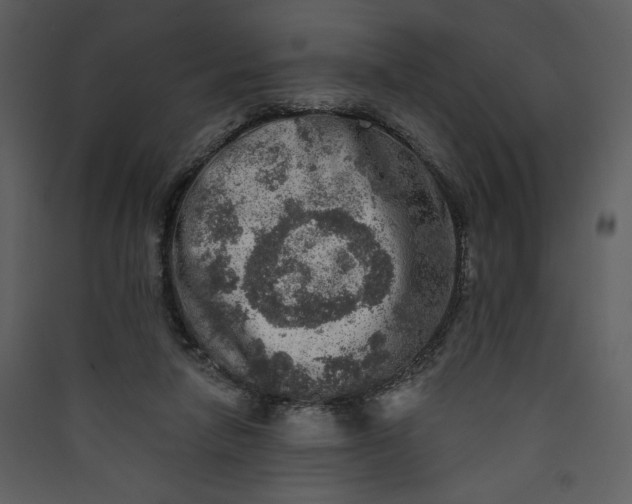 X0000089910258200707131355