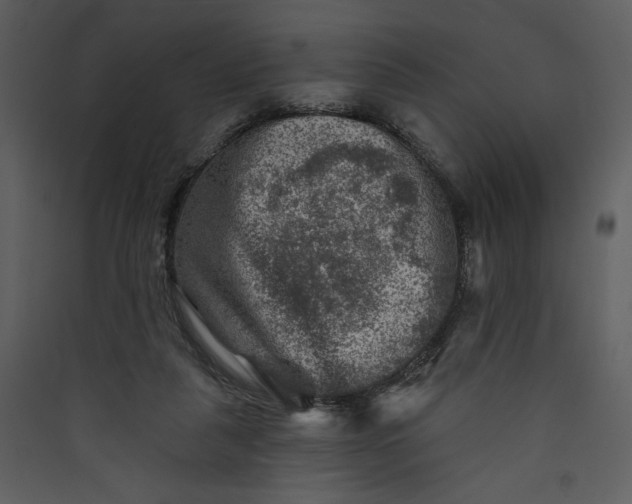 X0000089910259200707131355