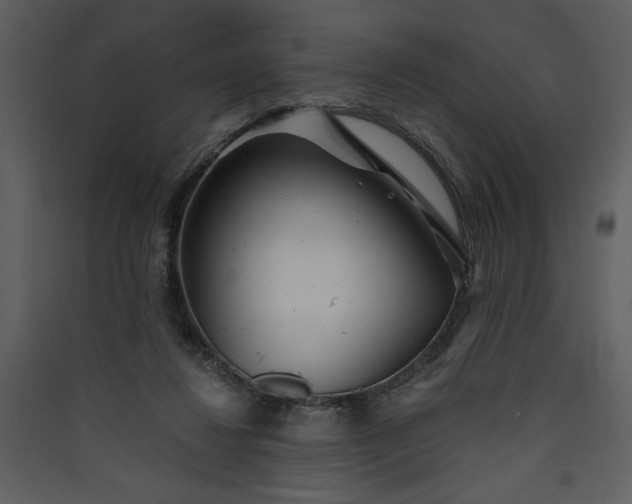 X0000089910260200707131355