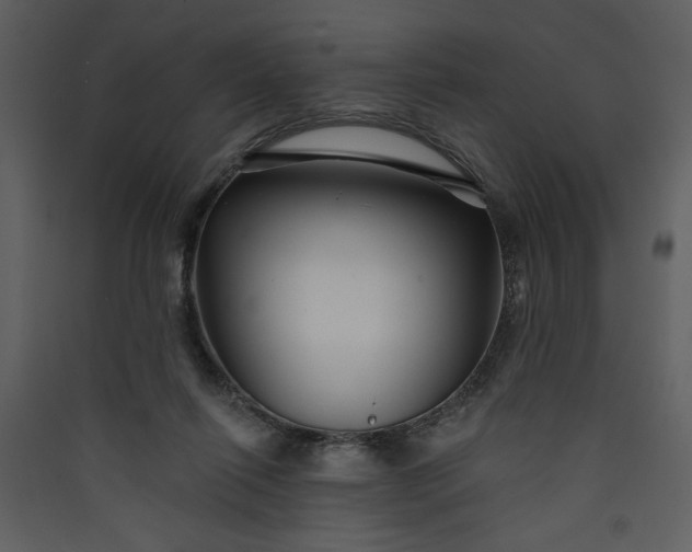 X0000089910262200707131355