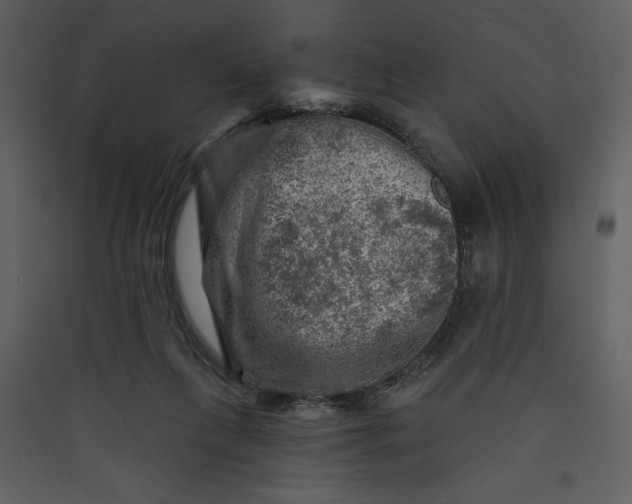 X0000089910263200707131355