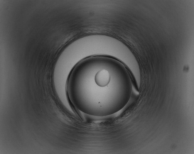 X0000089910264200707131355