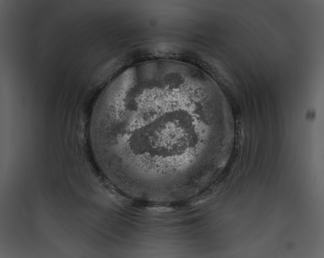 X0000089910266200707131355
