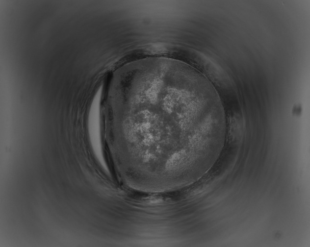 X0000089910267200707131355
