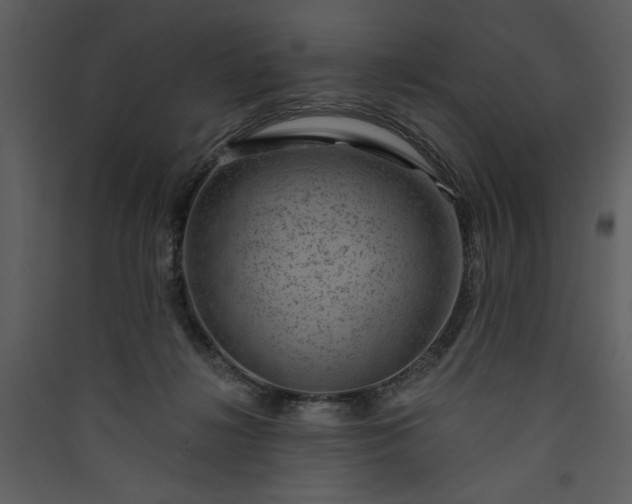 X0000089910268200707131355