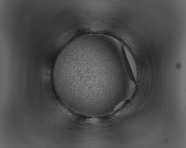 X0000089910269200707131355