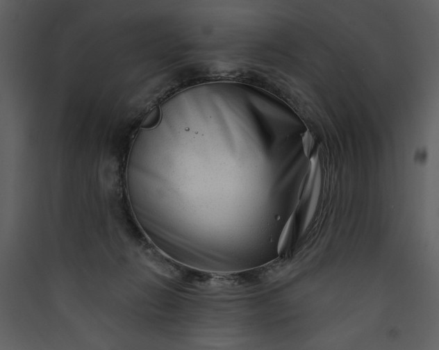 X0000089910270200707131355
