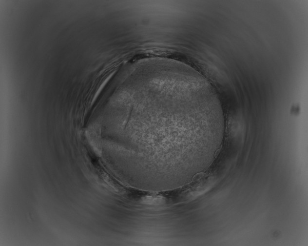 X0000089910271200707131355