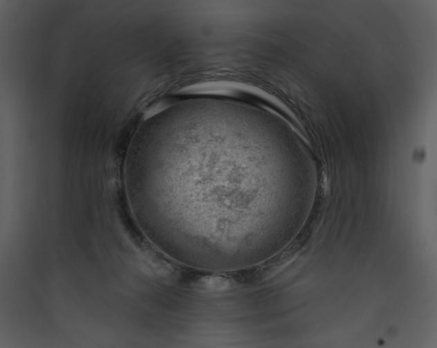 X0000089910272200707131355