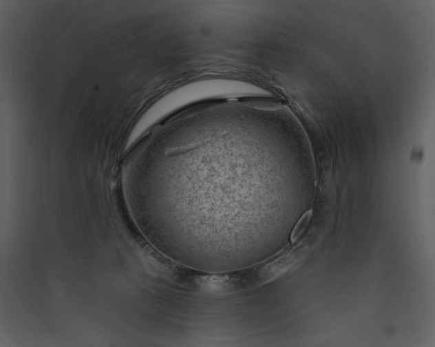 X0000089910273200707131355