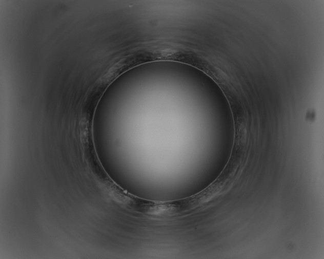 X0000089910274200707131355