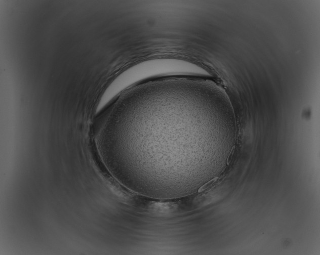 X0000089910277200707131355
