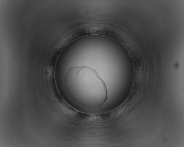 X0000089910278200707131355