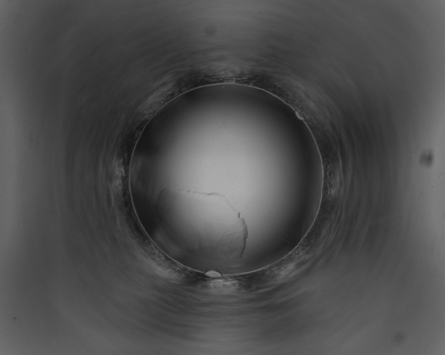 X0000089910279200707131355