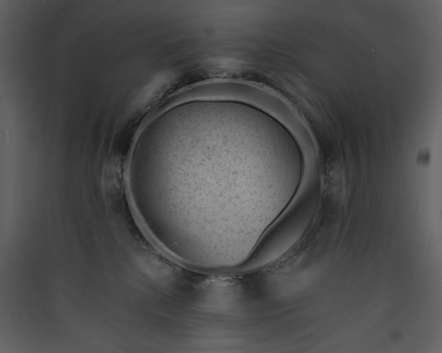 X0000089910280200707131355