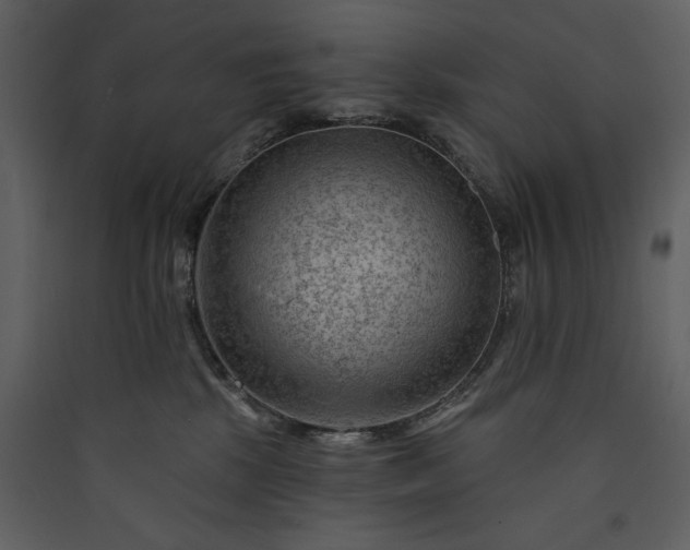 X0000089910281200707131355