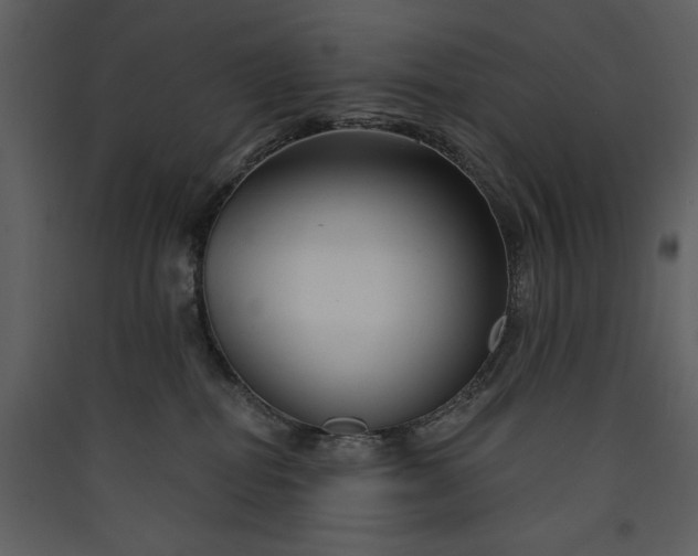 X0000089910282200707131355
