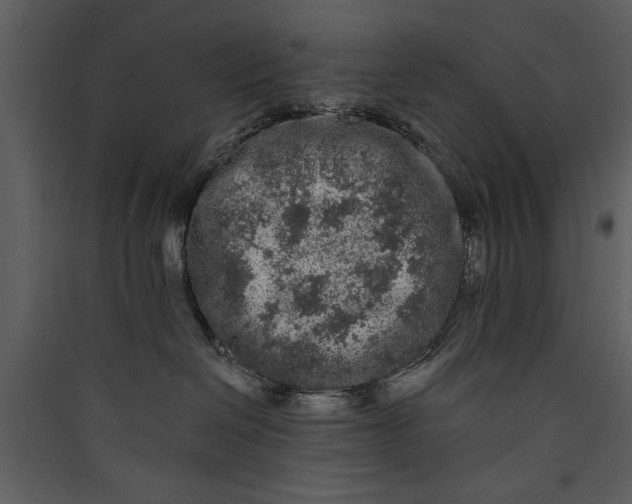 X0000089910286200707131355