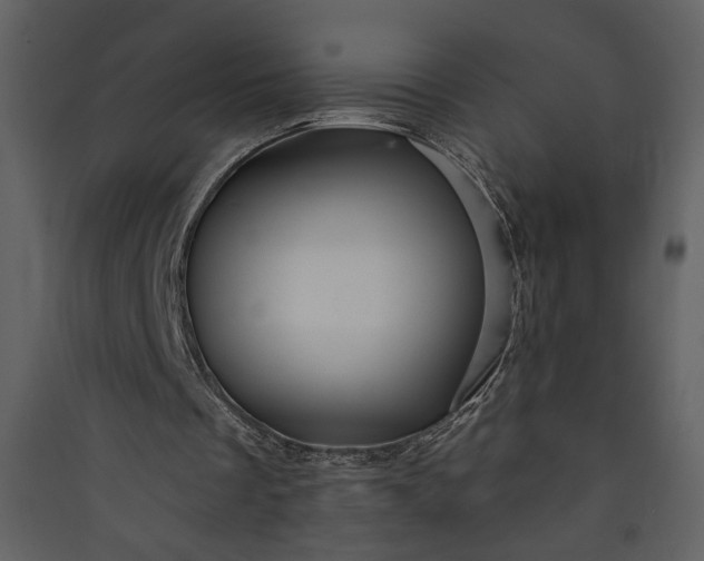 X0000089910289200707131355