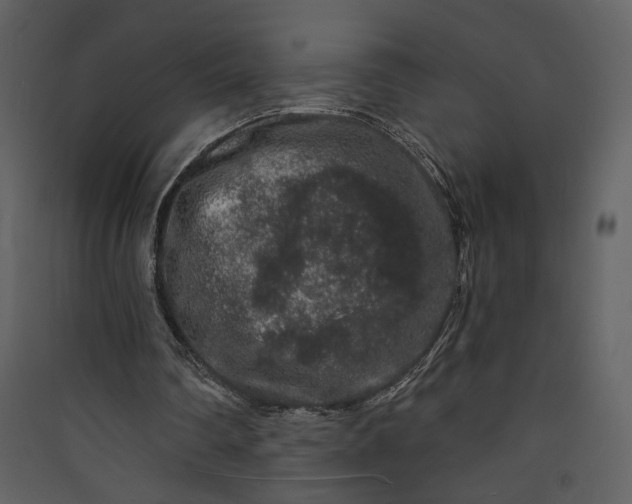 X0000089910290200707131355