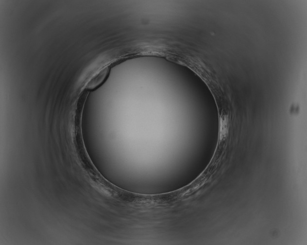 X0000089910291200707131355