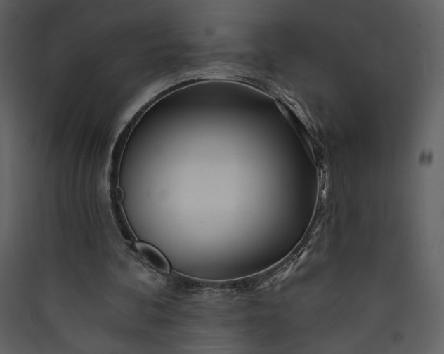 X0000089910292200707131355