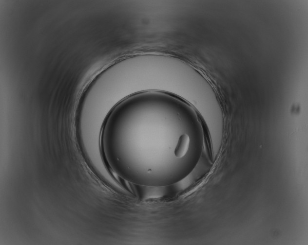 X0000089910293200707131355