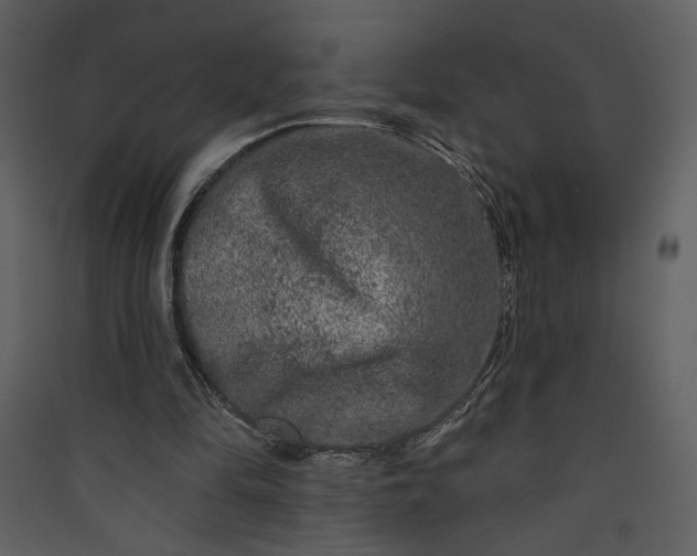 X0000089910294200707131355