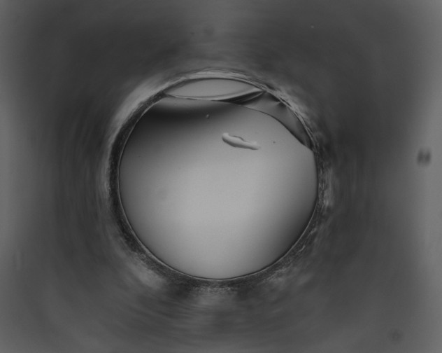 X0000089910296200707131355