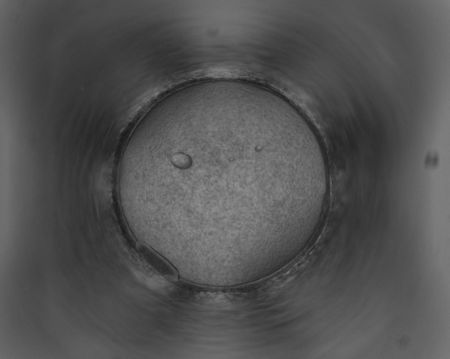 X0000089910297200707131355