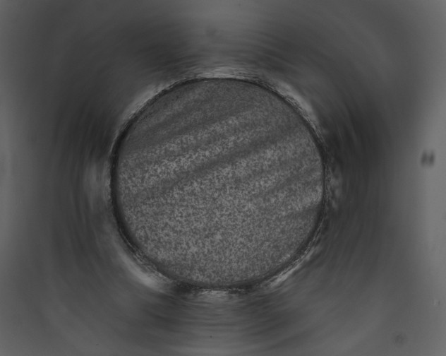 X0000089910298200707131355