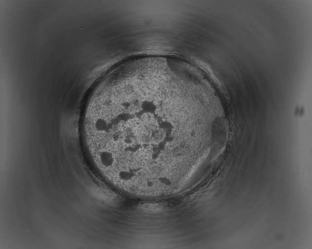 X0000089910299200707131355