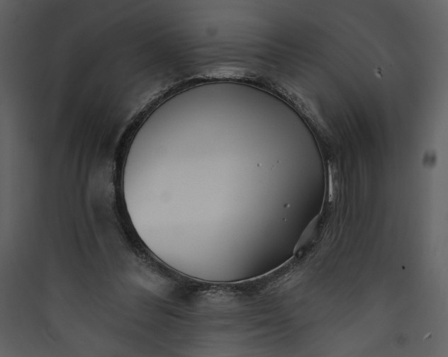X0000089910300200707131355