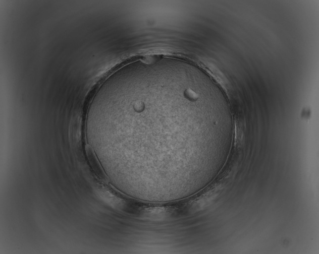 X0000089910301200707131355