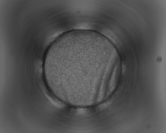 X0000089910302200707131355