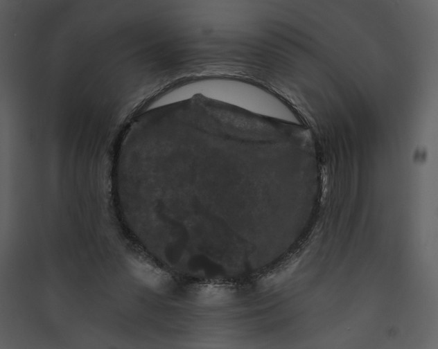 X0000089910303200707131355